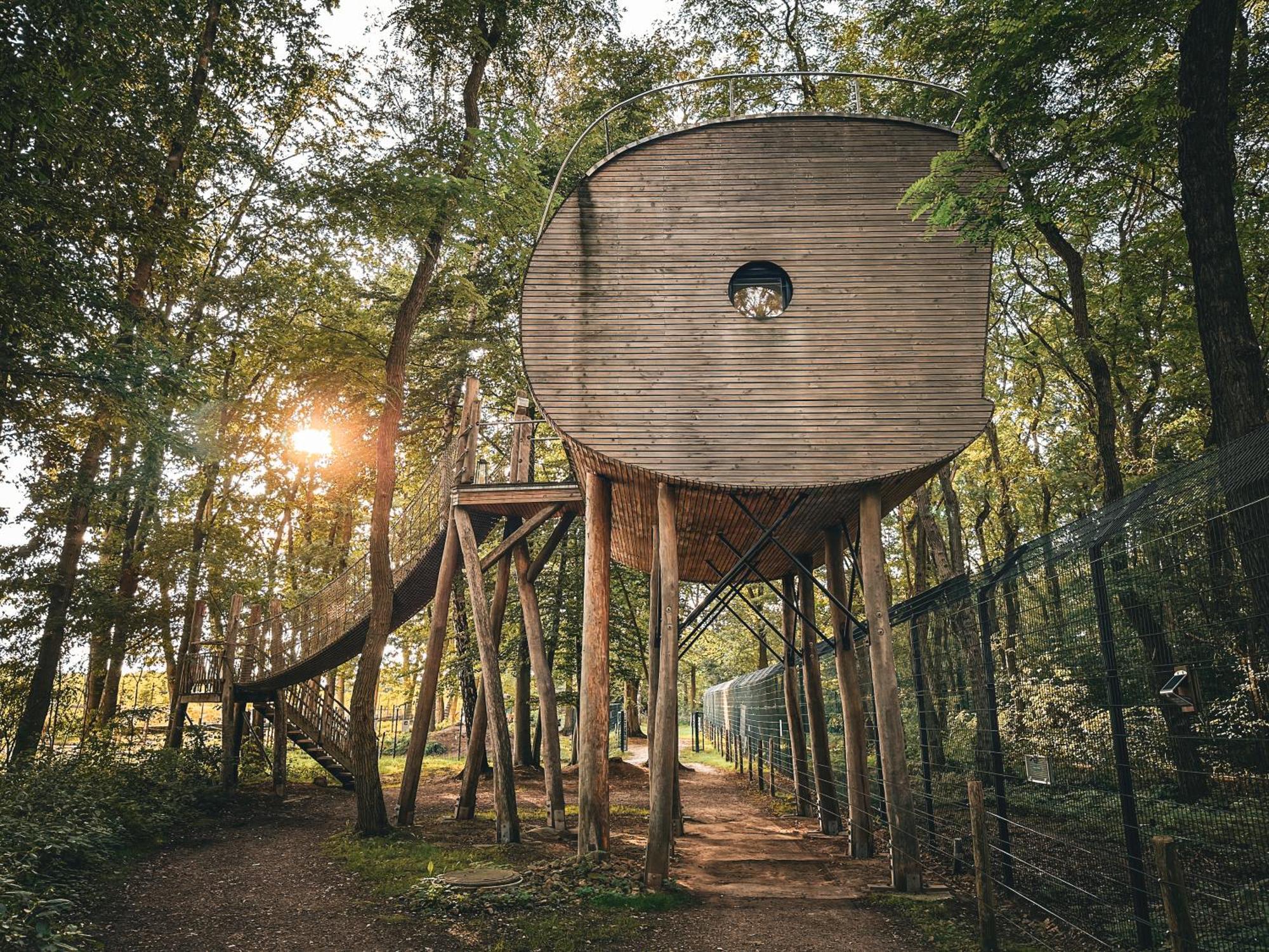 Tree Inn - Das Baumhaushotel Doerverden Exterior photo