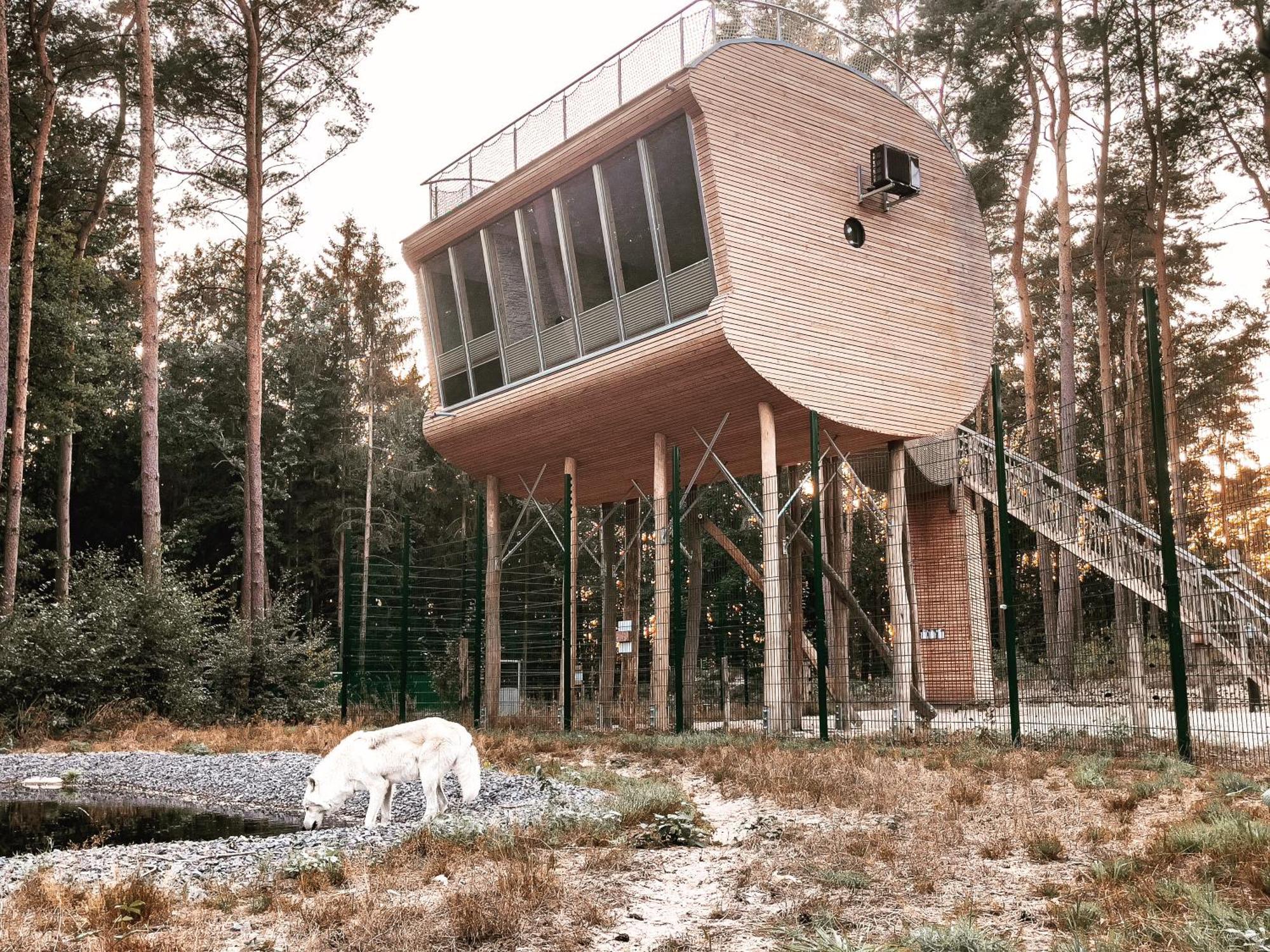 Tree Inn - Das Baumhaushotel Doerverden Exterior photo
